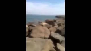 فضيحة في شواطئ الجزائر - EL BILAD TV -