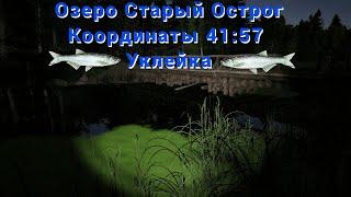 Русская рыбалка 4 • оз. Старый Острог • Для тех кто хочет наловить много живца • Уклейка рр4