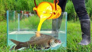 Experiment LAVA vs FISH Under Water