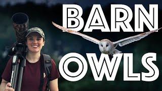 BARN OWLS A 2024 GOAL or should we say G-OWL UPDATE