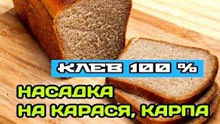 ТЕСТО ДЛЯ РЫБАЛКИ НА КАРАСЯ  НАСАДКА ИЗ ЧЕРНОГО ХЛЕБА НА КАРАСЯ КАРПА ПЛОТВУ