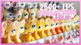 2500+ Littlest Pet Shop Collection Tour 2024   #littlestpetshop