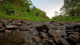 1 Hour Relaxing The Sound of Flowing River Water Calms the Mind Deep Sleep Meditation