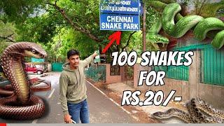 Chennai Snake Park   Guindy  Place to visit in Chennai   Diary of NS  Tamil