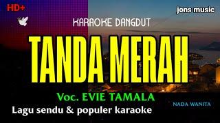 TANDA MERAH ITU  EVYTAMALA  KARAOKE DANGDUT