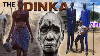 THE DINKA TRIBE  The SHOCKING Science Behind THE TALLEST PEOPLE ON EARTH.