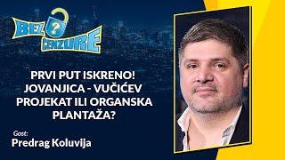 BEZ CENZURE  Predrag Koluvija Prvi put iskreno Jovanjica-Vučićev projekat ili organska plantaža?