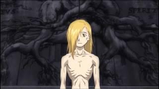 FMA ed finds als body