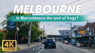 Is ‘Murrumbeena’ the land of frogs?  Drive-through Murrumbeena to Chadstone  Melbourne  4K