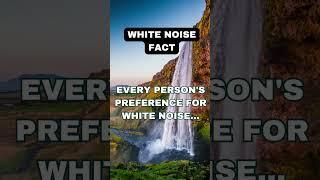 White Noise Preference
