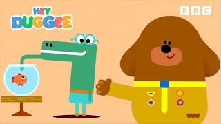 LIVE Hey Duggee Series 1 Part 2  Hey Duggee