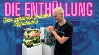 Kevins privates Aquarium - Eine Überraschung im Laden Einrichtung Nano Cube 20L