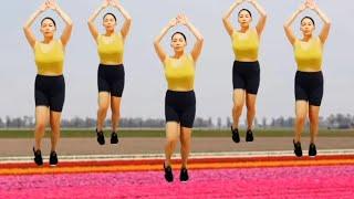 exercise dance workout weight loss reduce belly fat fat burninglovely dance fit