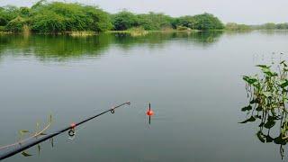 how to catch fish  very easy way to catch  village fishing.