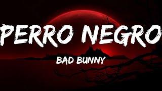 Bad Bunny - PERRO NEGRO  Letras  Lyrics 