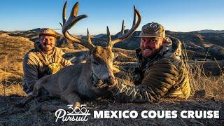 Mexico Coues Cruise X3