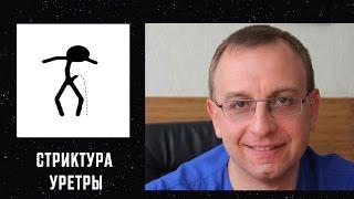 СТРИКТУРА УРЕТРЫ. Уролог андролог сексопатолог Алексей Корниенко.