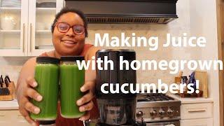 i made a delicious juice using homegrown cucumbers  farm-to-table