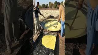 Punjab Pakistan Village Life  Jaggery Making  Old Punjab  Stunning Punjab  Rural Life Pakistan