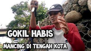 Mancing Di Tengah Kota Sebelah Underpas Purwokerto