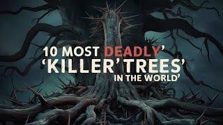 The worlds 10 most deadly killer trees are more deadly poisons than arsenic