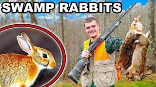 Hunting Swamp Rabbits in Louisiana