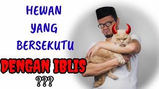 Eps 343  MENGAPA TIDAK ADA KUCING DALAM AL QURAN ALKITAB DAN WEDA?