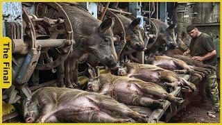 The Horrifying Truth Inside The Worlds Largest Wild Boar Processing Factory  Factory Tour