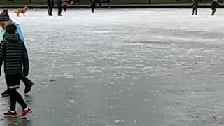 Queens Park Pond Glasgow in winter