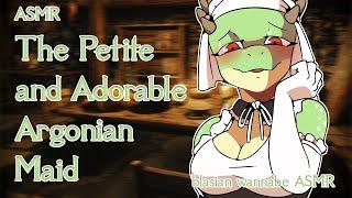 The Special Argonian Maid shows you personal attention┊ Skyrim ASMR RP Deep Ear Attention