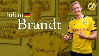 Julian Brandt   Borussia Dortmund  Goals Skills Assists