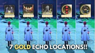 ALL 7 Locations to Get GOLD ECHO   Wuthering Waves 