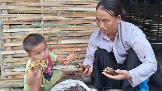 Single mother Grow pineapples and collect wild snails