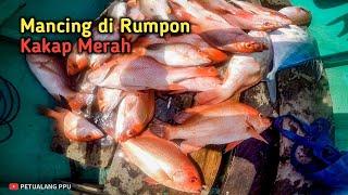 Luar Biasa Mancing Kakap Merah di Rumpon Tidak Ada Habisnya