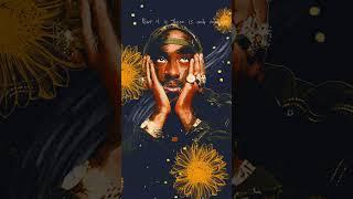 #2Pac - Starry Night Poetry Collection