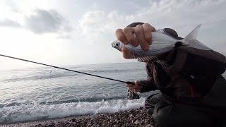 balık avı Antalya