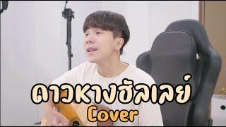 ดาวหางฮัลเลย์ Halleys Comet  fellow fellow  「Cover by Parkmalody 」