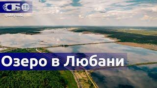 Любанское водохранилище  Места для рыбалки в Минской области  Где отдохнуть в Беларуси