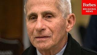 ‘Flawed Both Conceptually & In Practice’ Dr. Fauci Shreds The Great Barrington Declaration