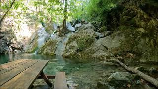 Relax by the stream.. Nature forest water sounds bird chirping.. For meditation study and sleep