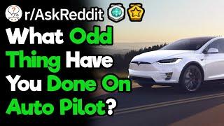 Whats Something Funny You Accidentally Did On Auto Pilot? rAskReddit