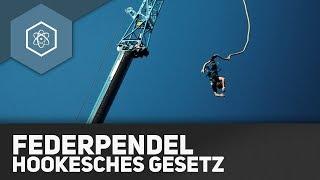 Federpendel  Hookesches Gesetz - Harmonische Schwingungen - REMAKE