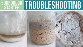 SOURDOUGH STARTER TROUBLESHOOTING - Whats Wrong & How To Fix It