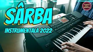 Sarba instrumentala la orga 2022 muzica populara de petrecere