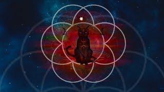 Sound Healing for CATS⎪FULL 1HOUR Extended Version