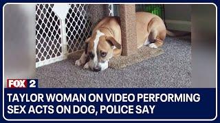 Wanita Taylor dalam video melakukan tindakan seks dengan anjing kata polisi