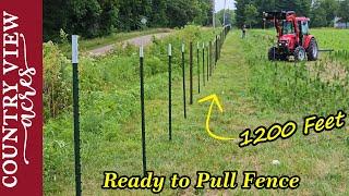 Driving in Posts Getting Ready to Install Fence and Artificial Insemination on the Dairy Hiefers