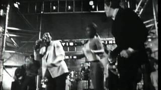 Otis Redding Eric Burdon & Chris Farlowe - Shake Live 1966 