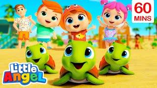 Beach Turtle Playtime  Little Angel  Best Animal Videos for Kids  Kids Songs and Nursery Rhymes