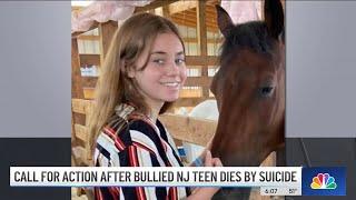 Bullied Teen Takes Own Life 2 Days After Students Took Video of Assault at NJ School  NBC New York